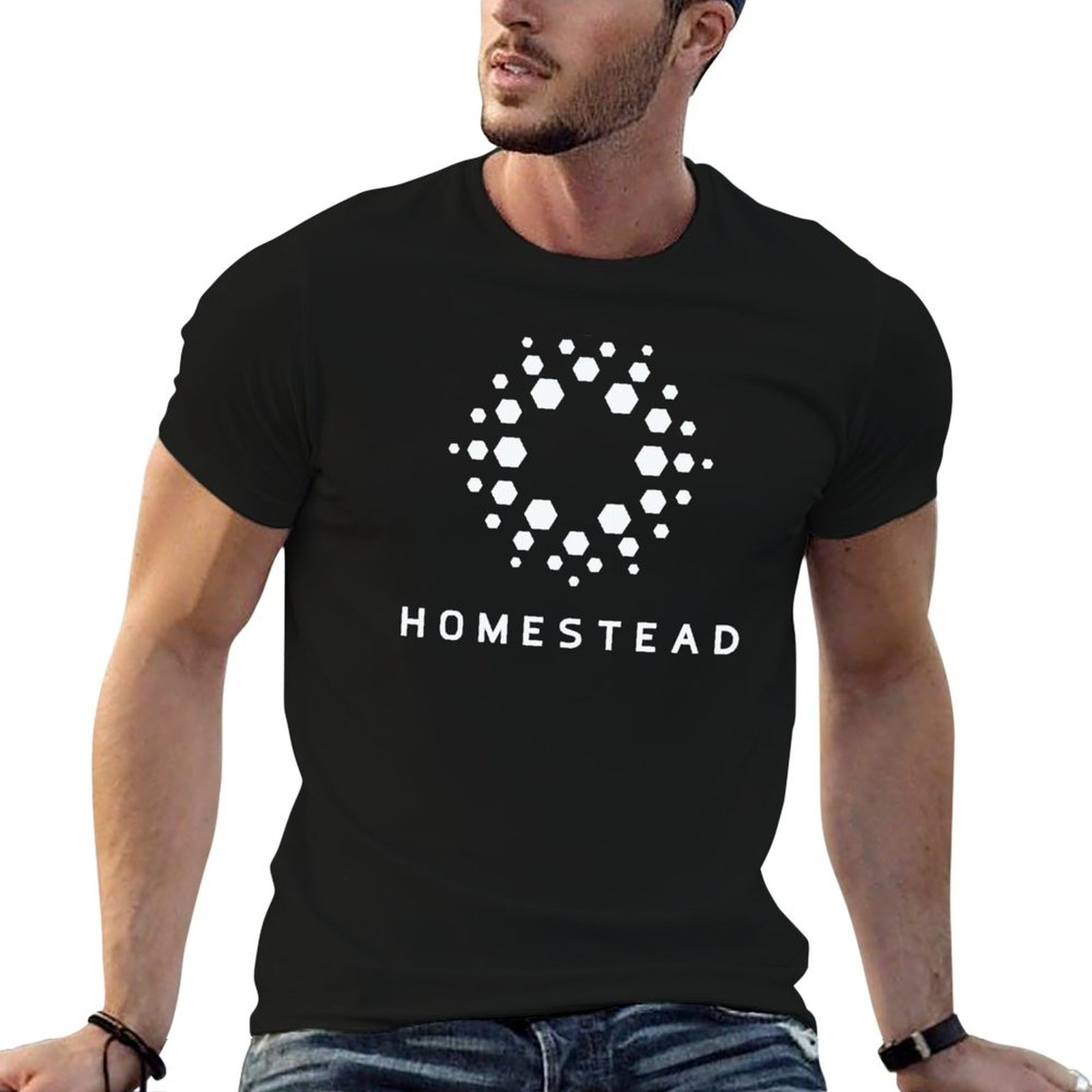 Homestead Lighting & Decor Oconomowoc - Homestead - Passengers - Light T-Shirt